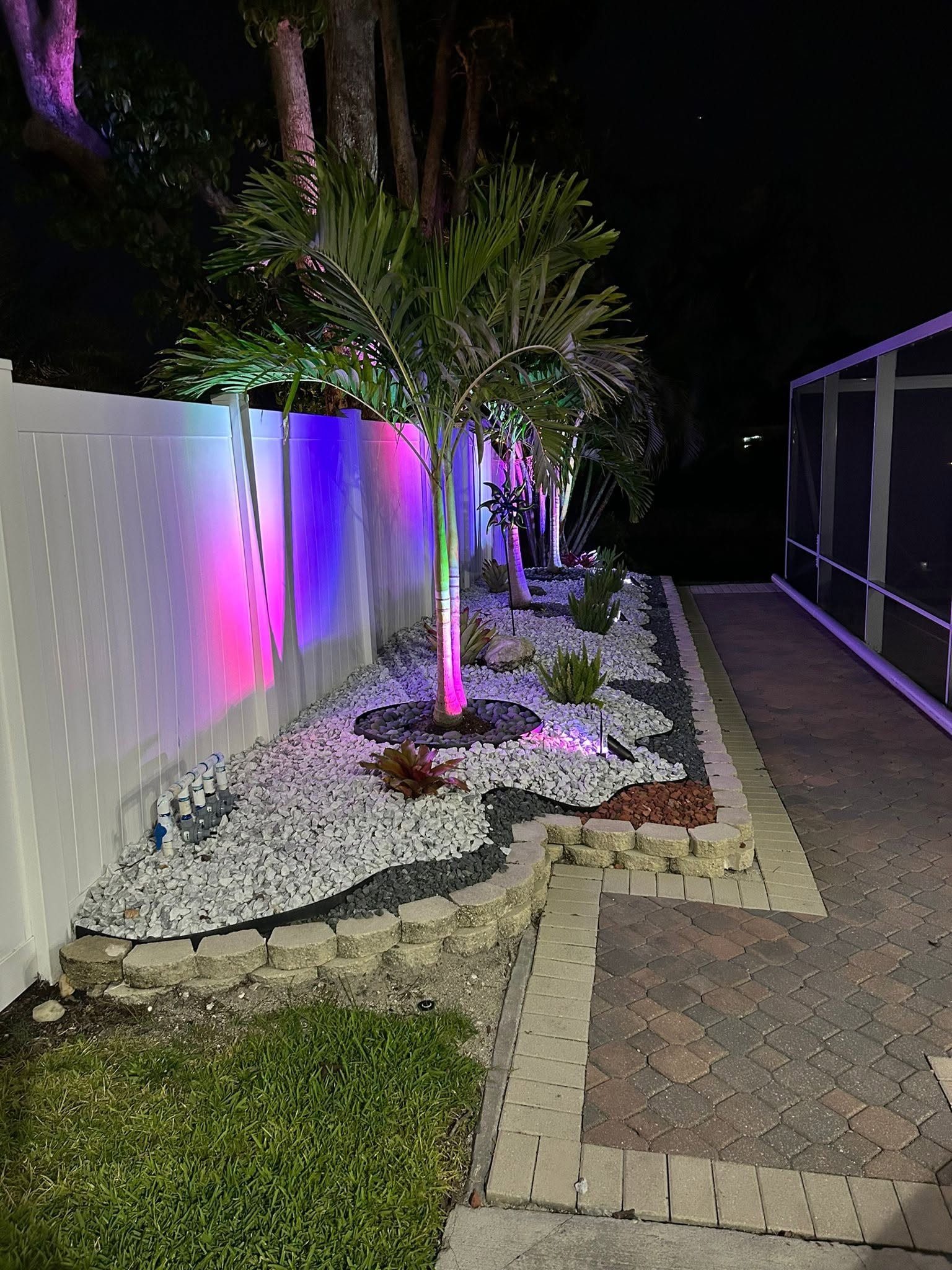 Tropical pool and palm landscaping