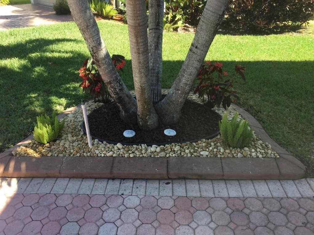 Garden gravel and palms