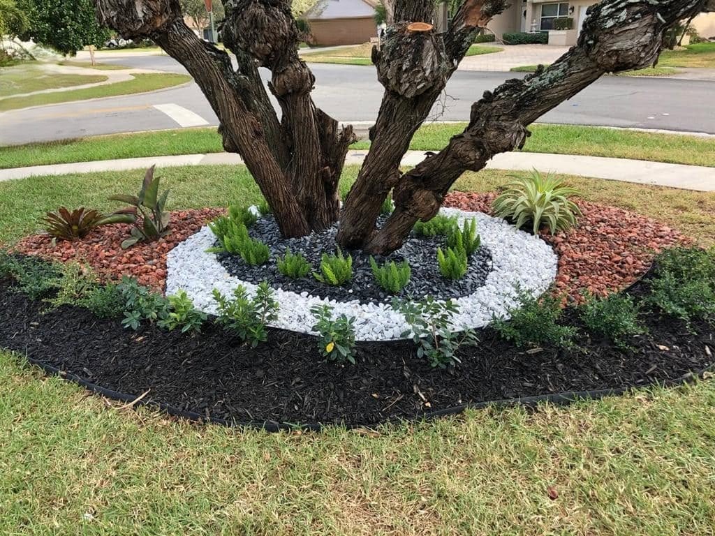 Tree ring tropical planting